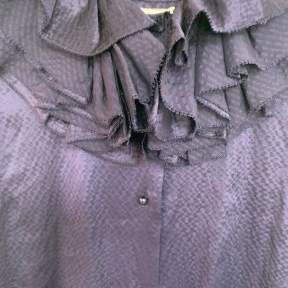 Anthropologie Mise en Scene by FUFFIAN Women Ruffled Blue Silk Blouse Size 6 - Picture 5 of 7